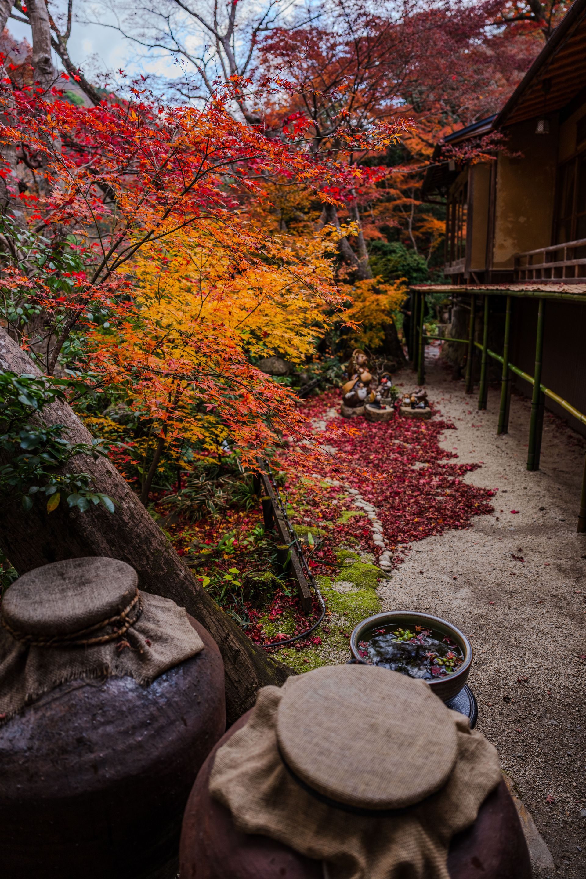 Arashiyama 13
